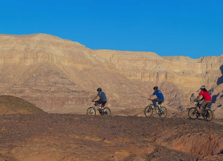 Attractions-Eilat-Camel-001