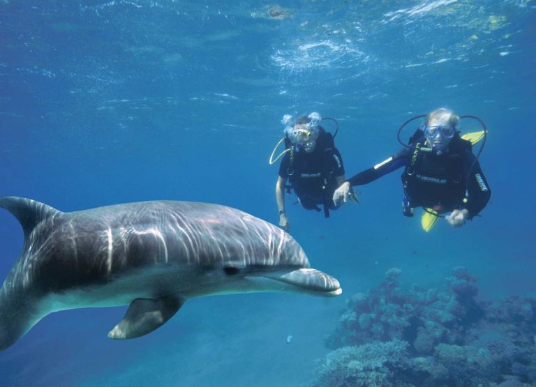 Attractions-Eilat-Dolphin-reef-001